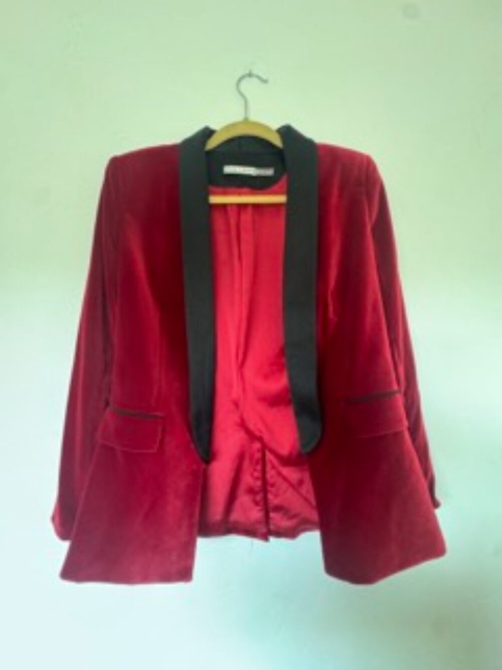 Red Velvet Blazer